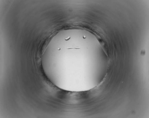 X0000090710186200708171913