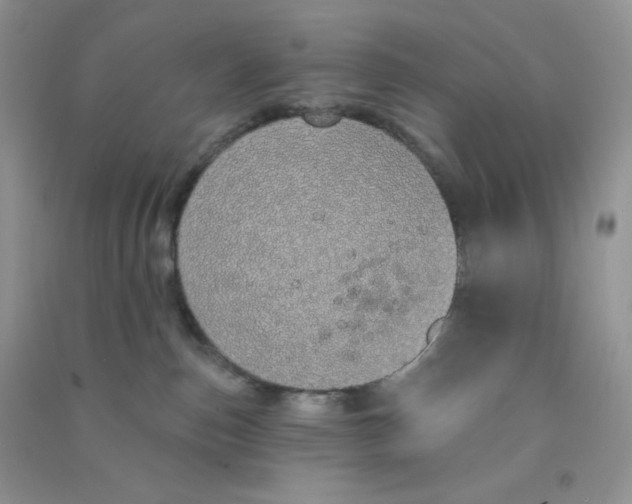 X0000090710187200708171913