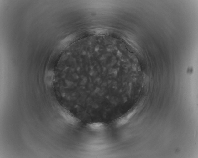 X0000090710189200708171913