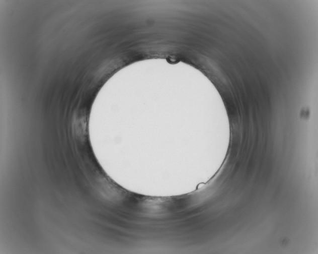 X0000090710190200708171913