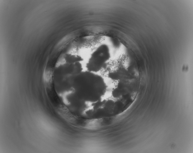 X0000090710191200708171914