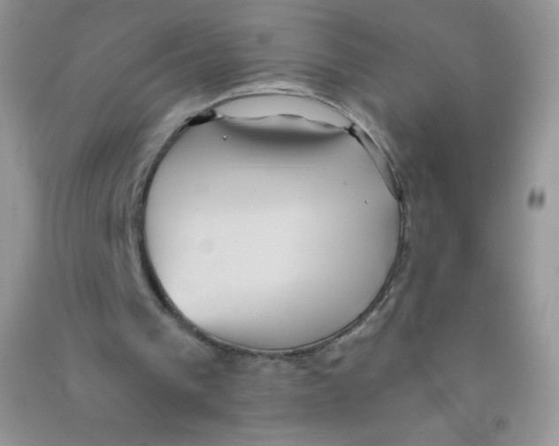 X0000090710193200708171913