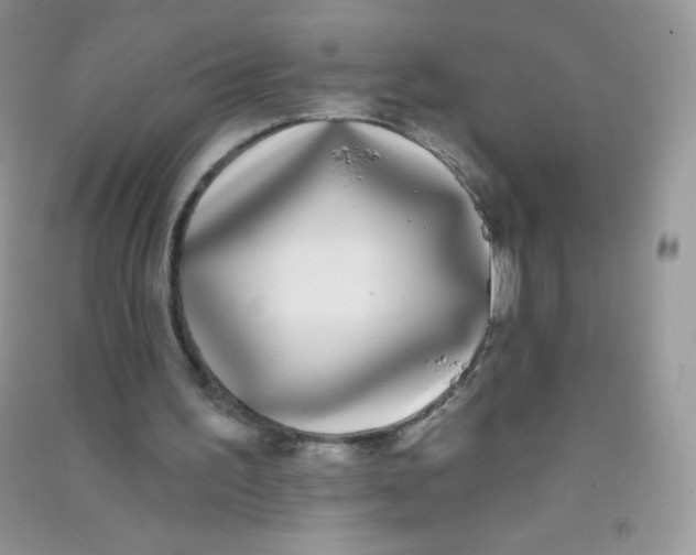 X0000090710195200708171913