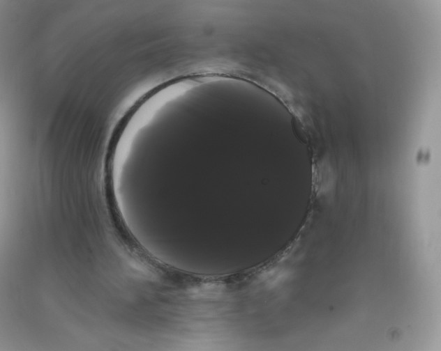 X0000090710196200708171913