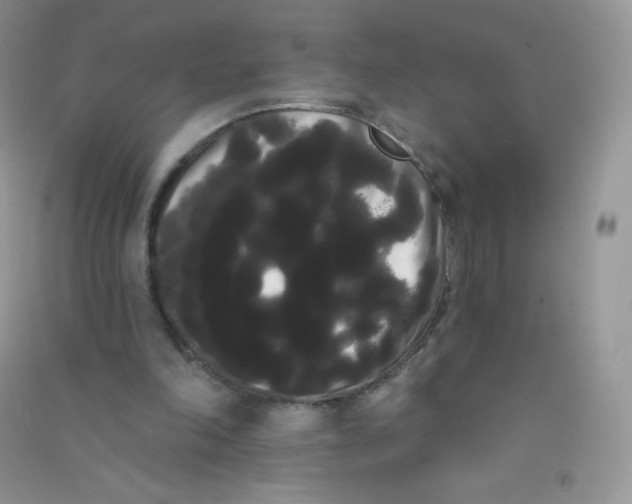 X0000090710198200708171913