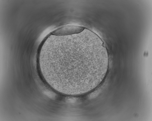 X0000090710199200708171913