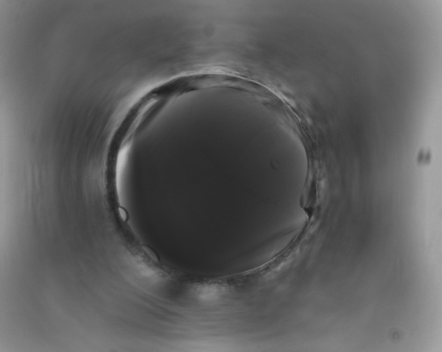 X0000090710200200708171913