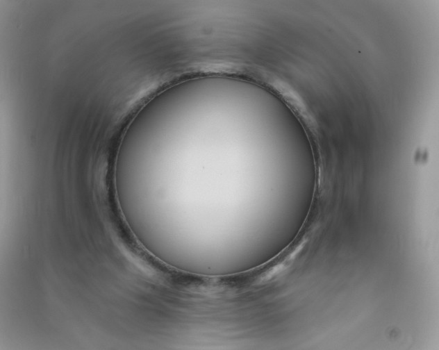 X0000090710201200708171913