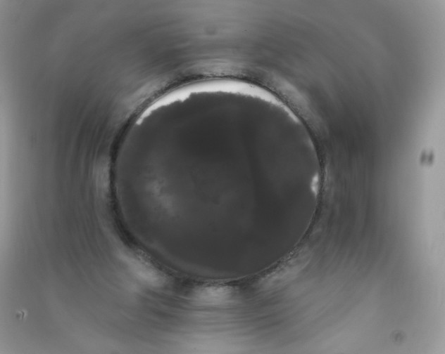 X0000090710202200708171913