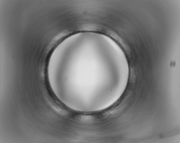 X0000090710203200708171913