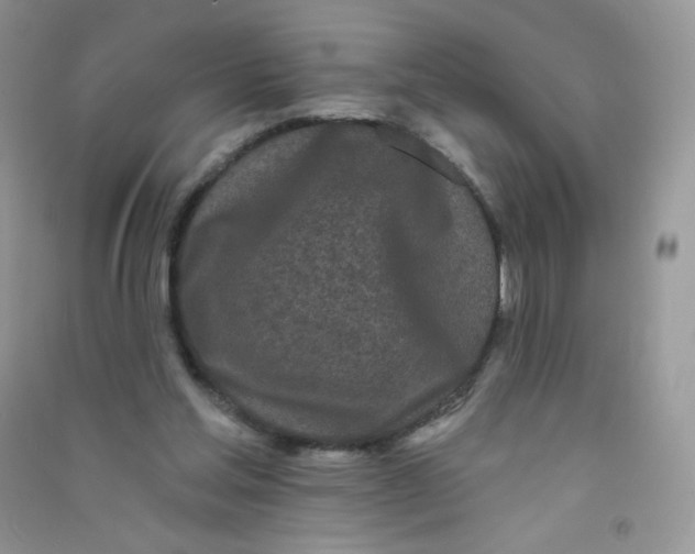 X0000090710205200708171913