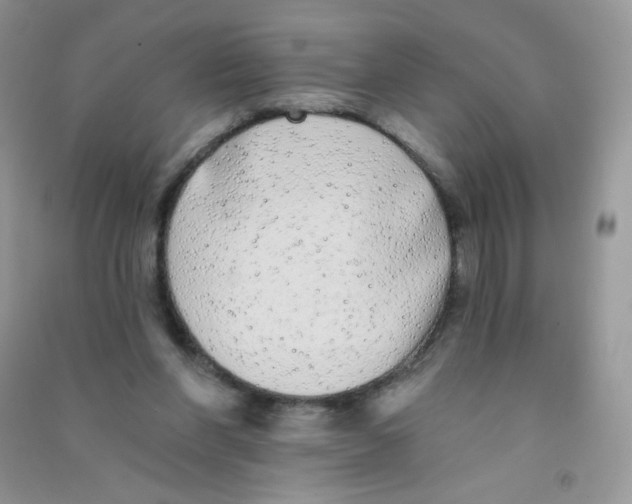 X0000090710206200708171913