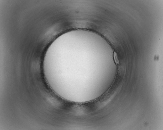 X0000090710207200708171913