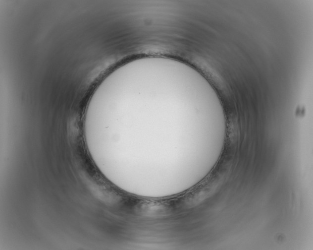 X0000090710208200708171913