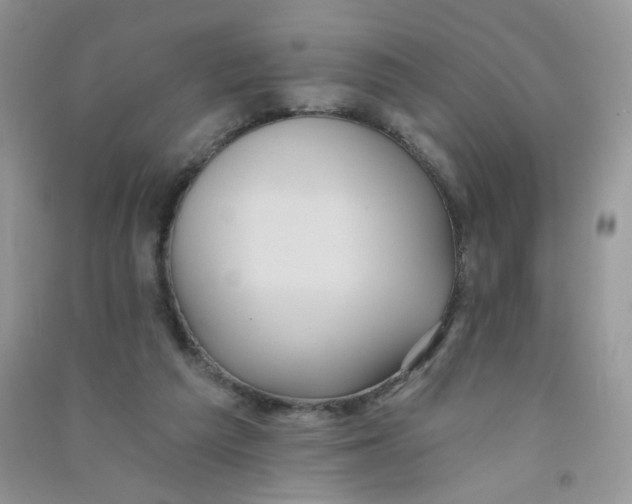 X0000090710209200708171913