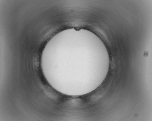 X0000090710210200708171913