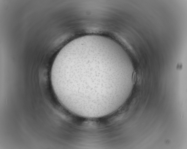 X0000090710211200708171913