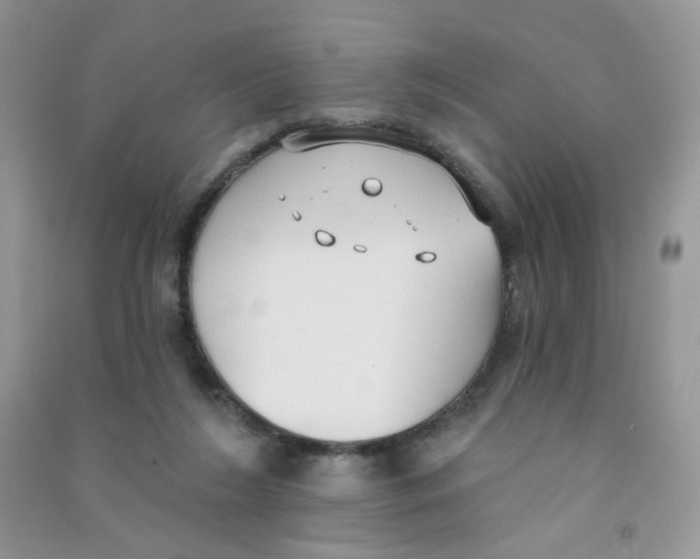 X0000090710212200708171913