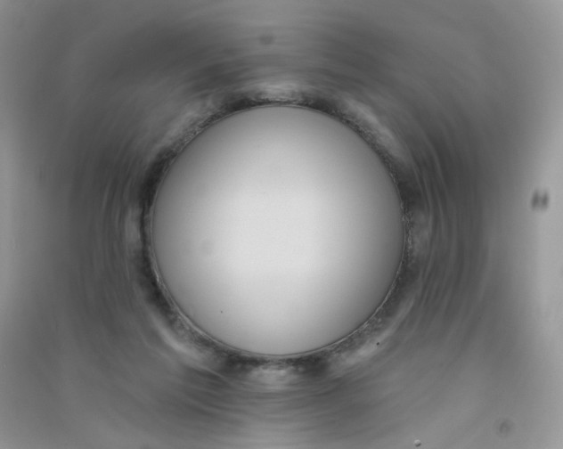 X0000090710213200708171913