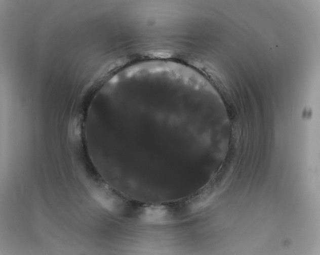 X0000090710214200708171913