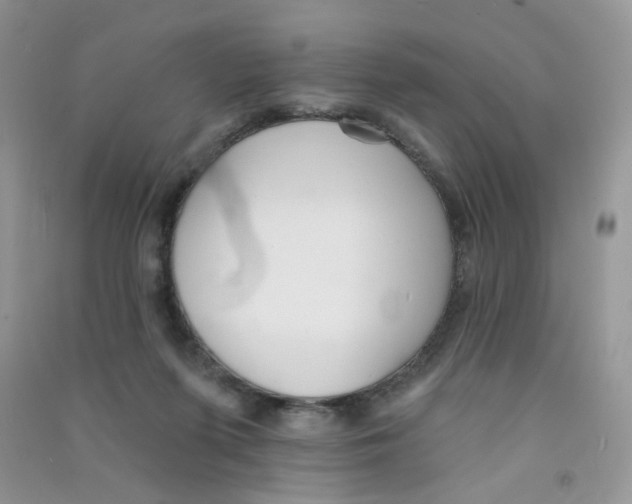 X0000090710215200708171913