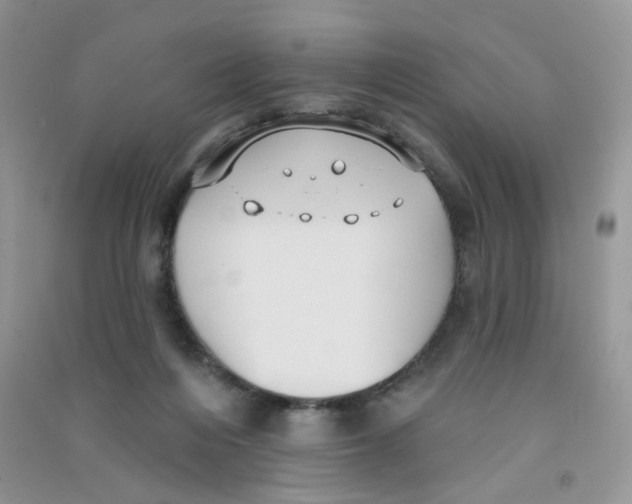 X0000090710216200708171913