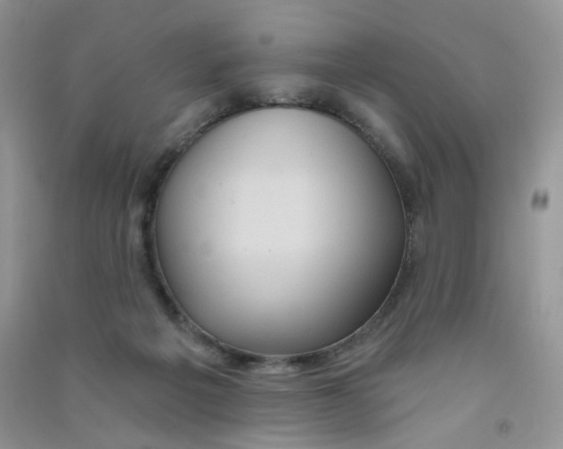 X0000090710217200708171913