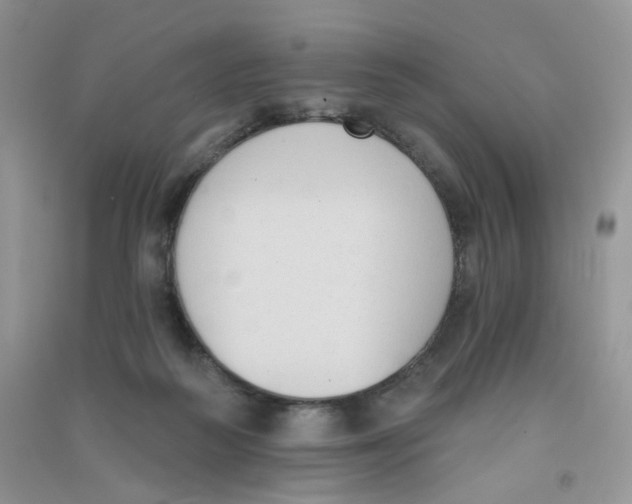 X0000090710218200708171913