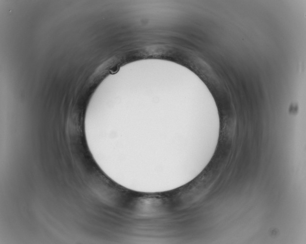 X0000090710220200708171913