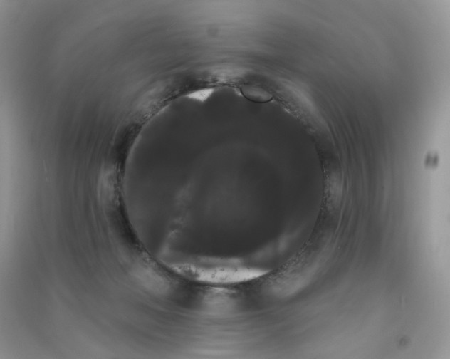 X0000090710222200708171913