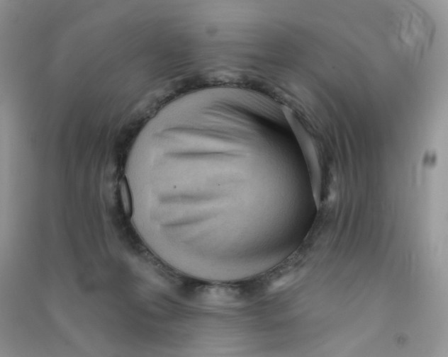 X0000090710223200708171913