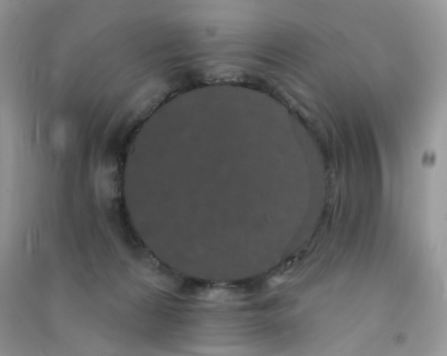 X0000090710224200708171913