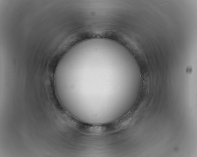 X0000090710225200708171913