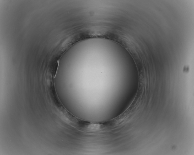 X0000090710227200708171912