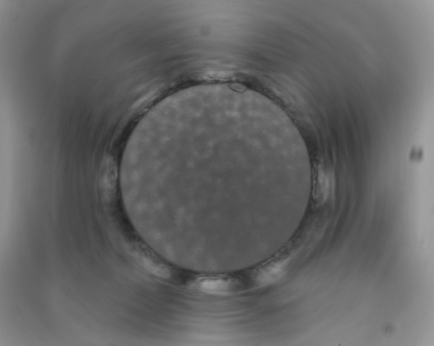 X0000090710228200708171912