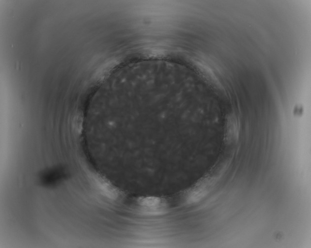 X0000090710230200708171912