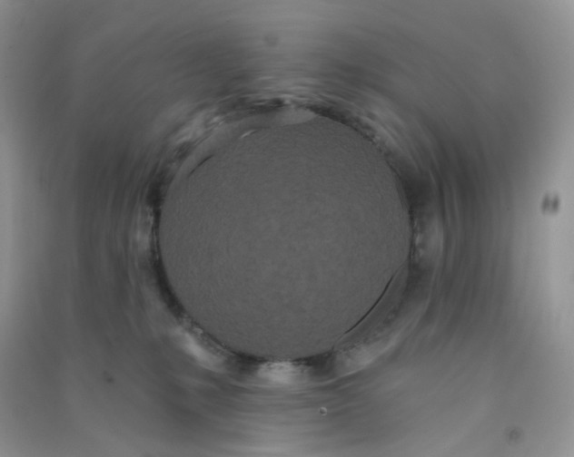 X0000090710231200708171912