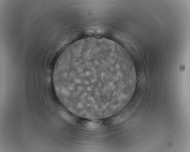 X0000090710232200708171912