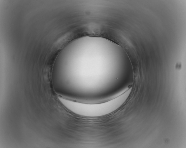 X0000090710233200708171912