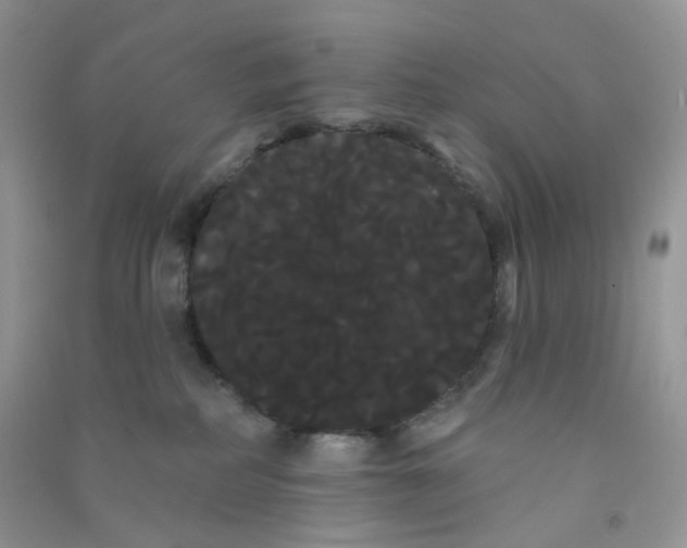 X0000090710234200708171912