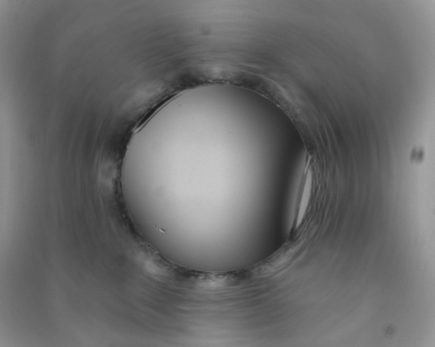 X0000090710235200708171912