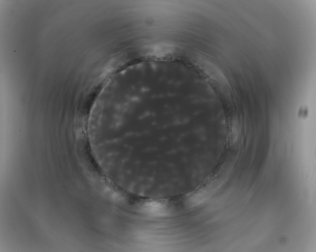 X0000090710236200708171912