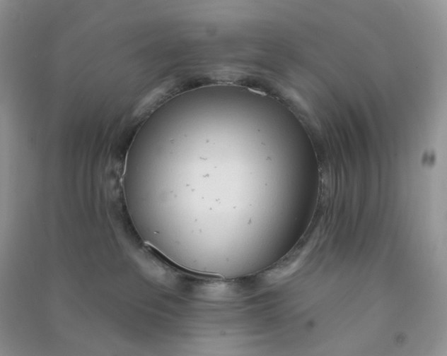 X0000090710237200708171912