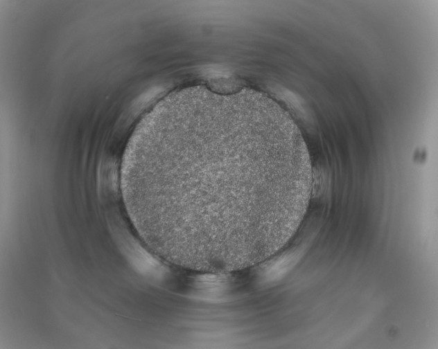 X0000090710238200708171912