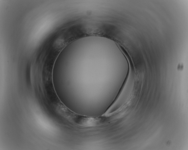 X0000090710239200708171912