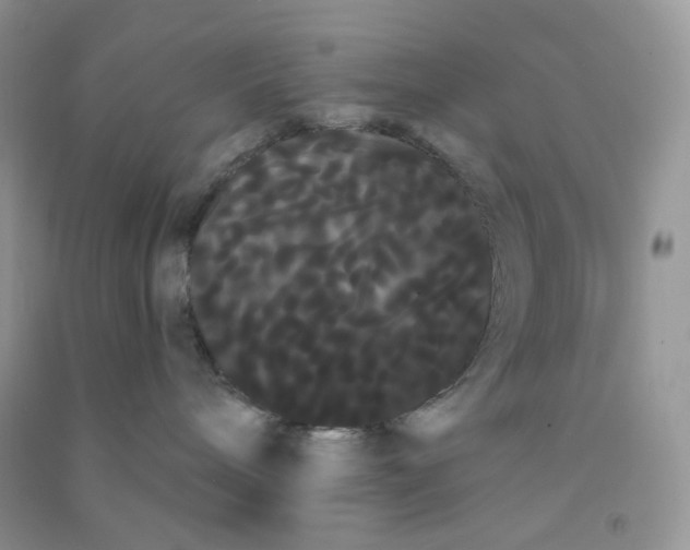 X0000090710240200708171912