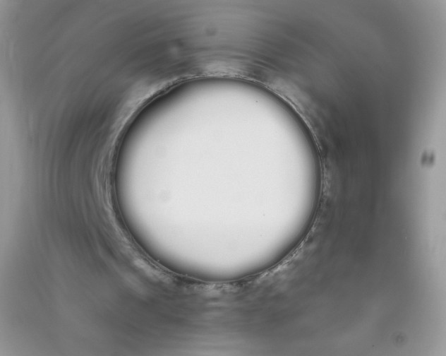 X0000090710241200708171912