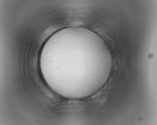 X0000090710242200708171912