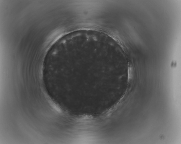 X0000090710243200708171912