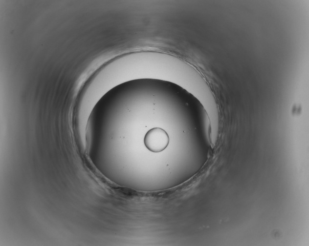 X0000090710244200708171912